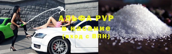 прущие грибы Пересвет