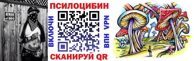 Галлюциногенные грибы Psilocybe  дарнет шоп  Болохово 